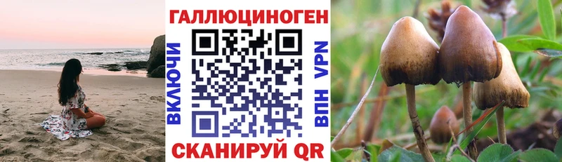 даркнет сайт  Карабаново  Псилоцибиновые грибы ЛСД 