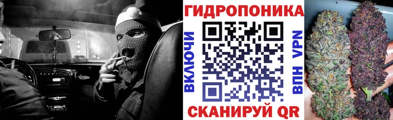 Шишки марихуана индика  Карабаново 